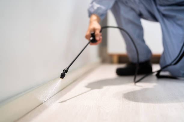 Licensed Mosquito Control service in McArthur, OH - Show Me Pest Control