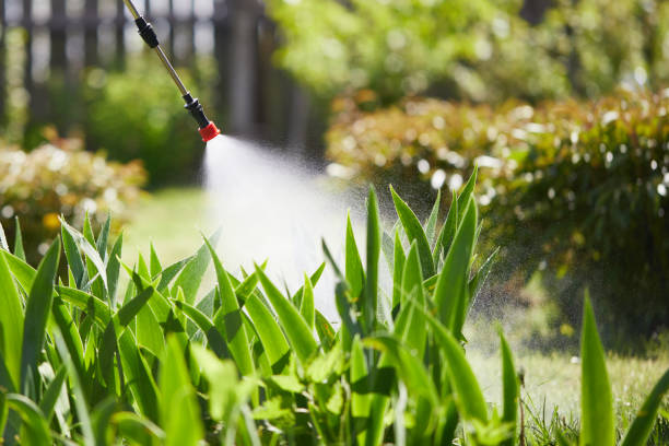 24/7 Emergency Mosquito Control experts in McArthur, OH