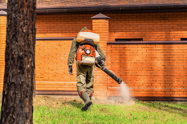 Top rated local Mosquito Control specialists in McArthur, OH